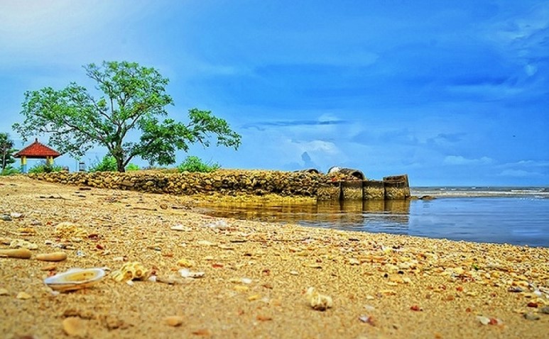 Pantai beringin