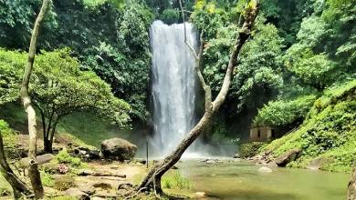 Air Terjun Renah Sungai Besar