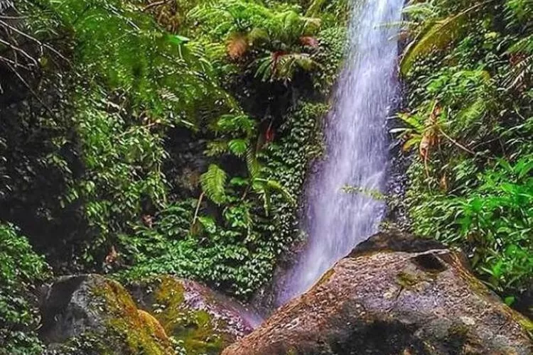 Air Terjun Pring Jowo